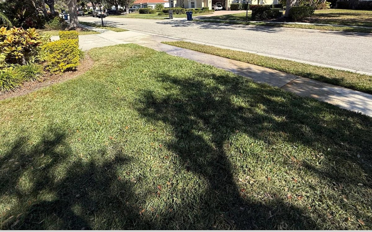 The same lawn clean and level after the grindings were hauled away