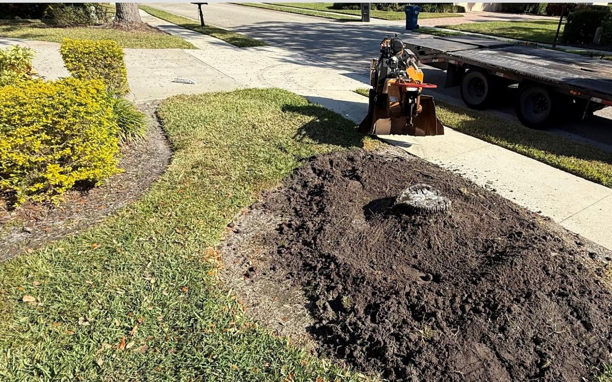 A large pile of stump grindings and spoil sitting on a front lawn