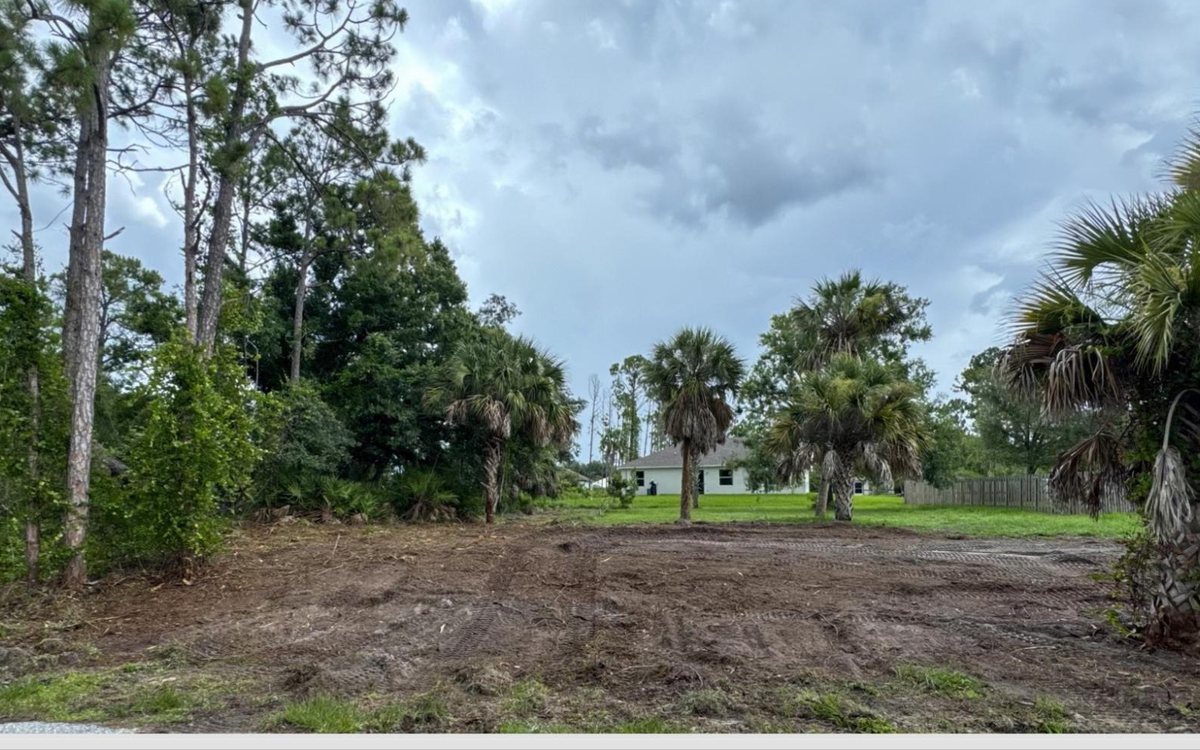 The same lot cleared to open ground with mature palms left standing