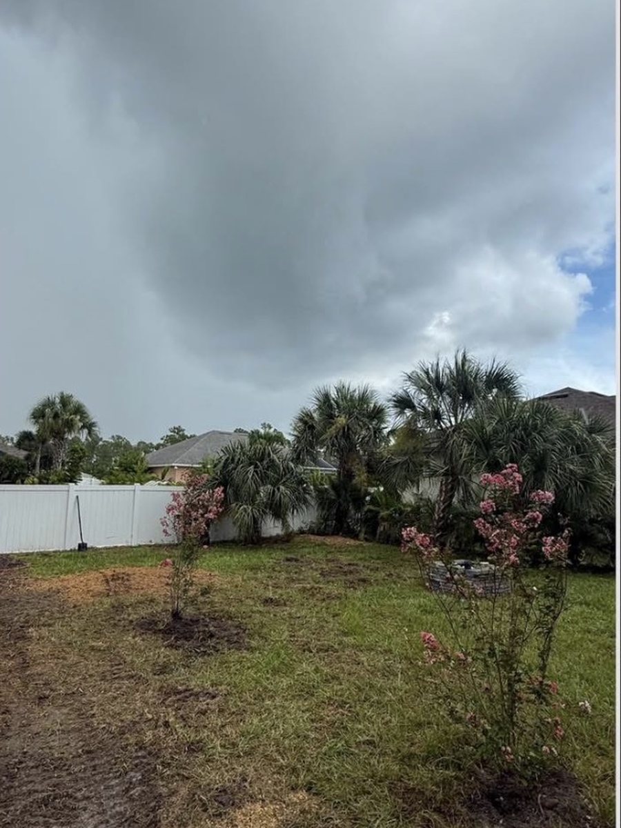 The same garden with the dead pine gone and the ground cleared