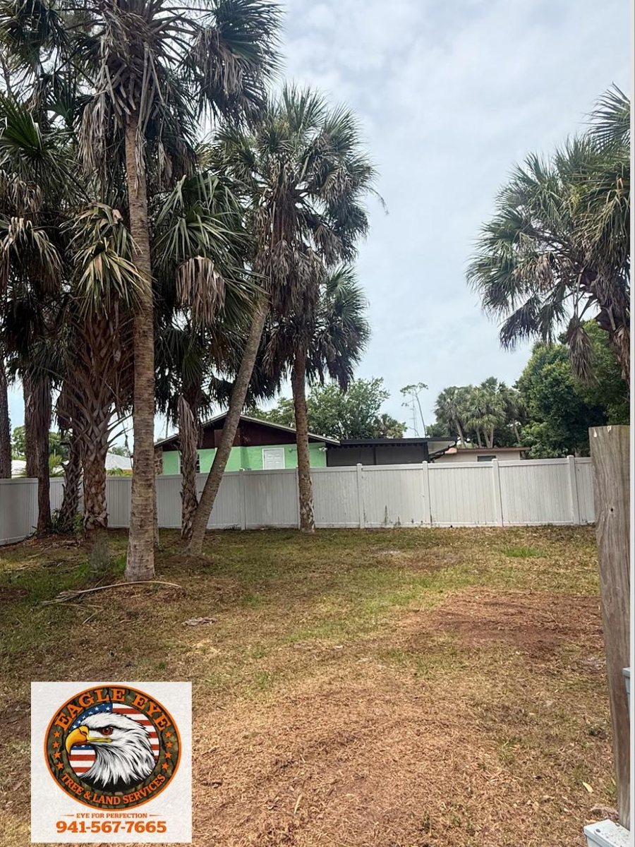 The same garden with the leaning trunk removed and the ground cleared