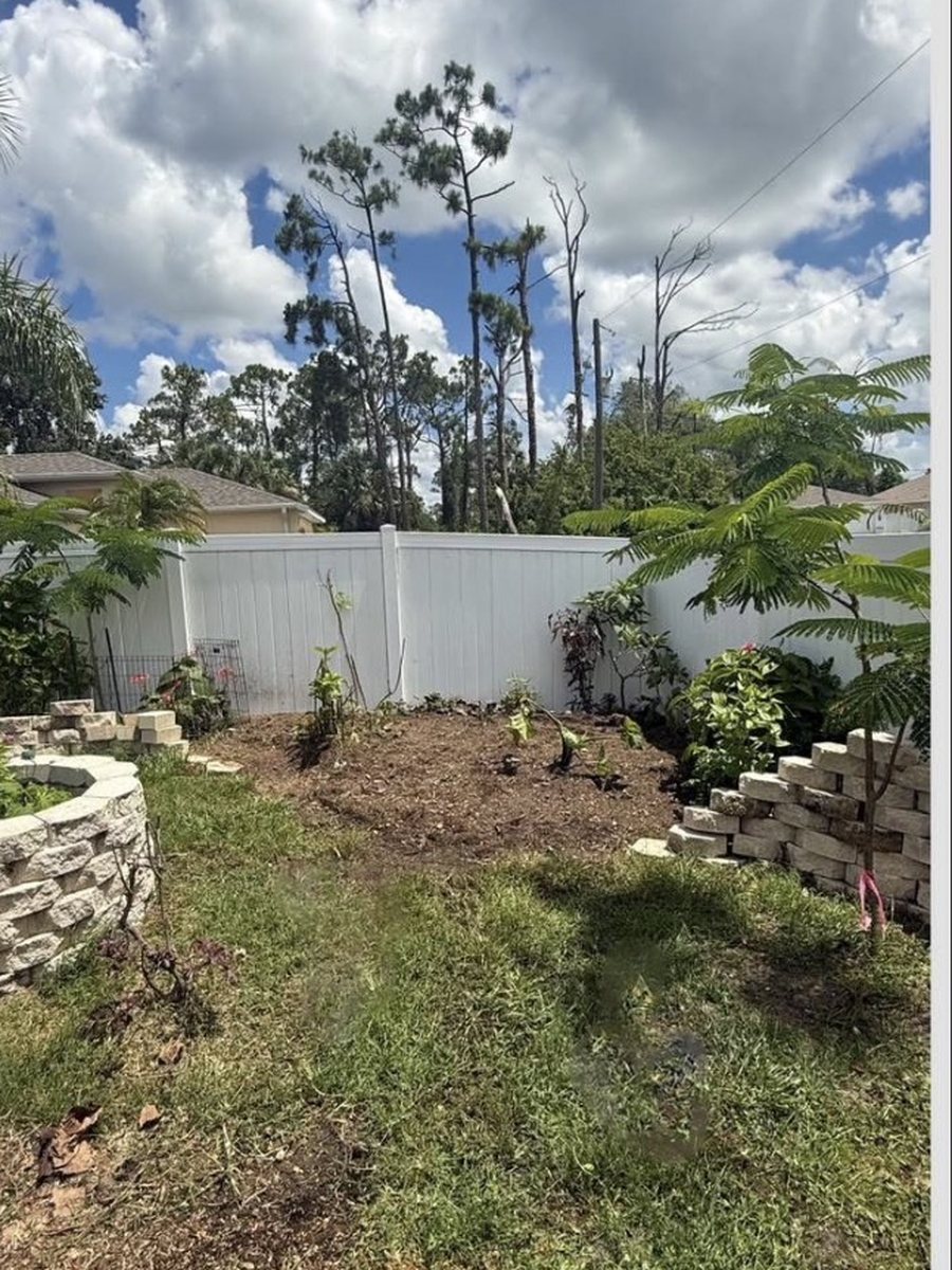 The same bed with the dead palm gone and the border undisturbed