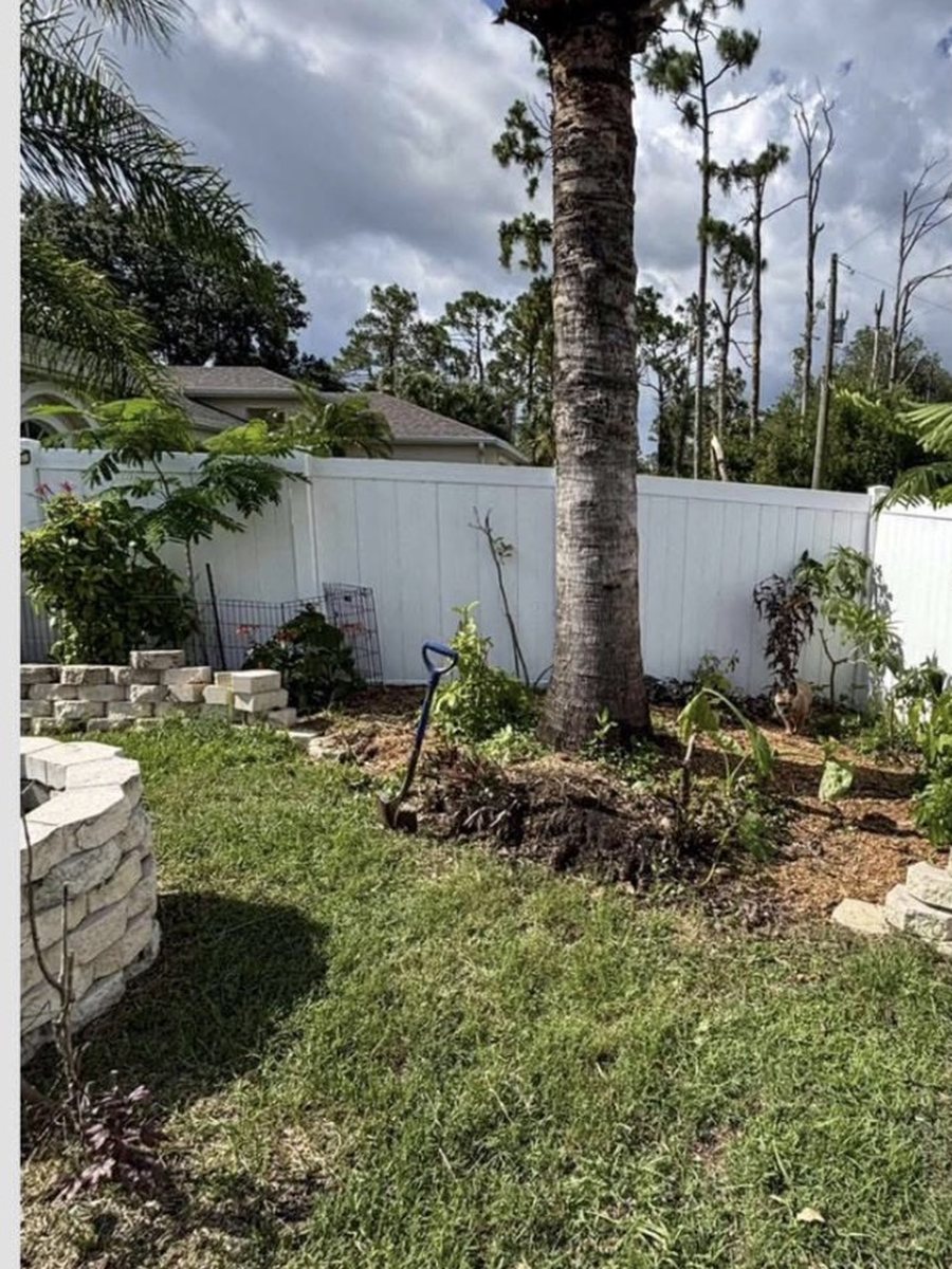 A dead palm trunk standing in a planted bed with a stone border