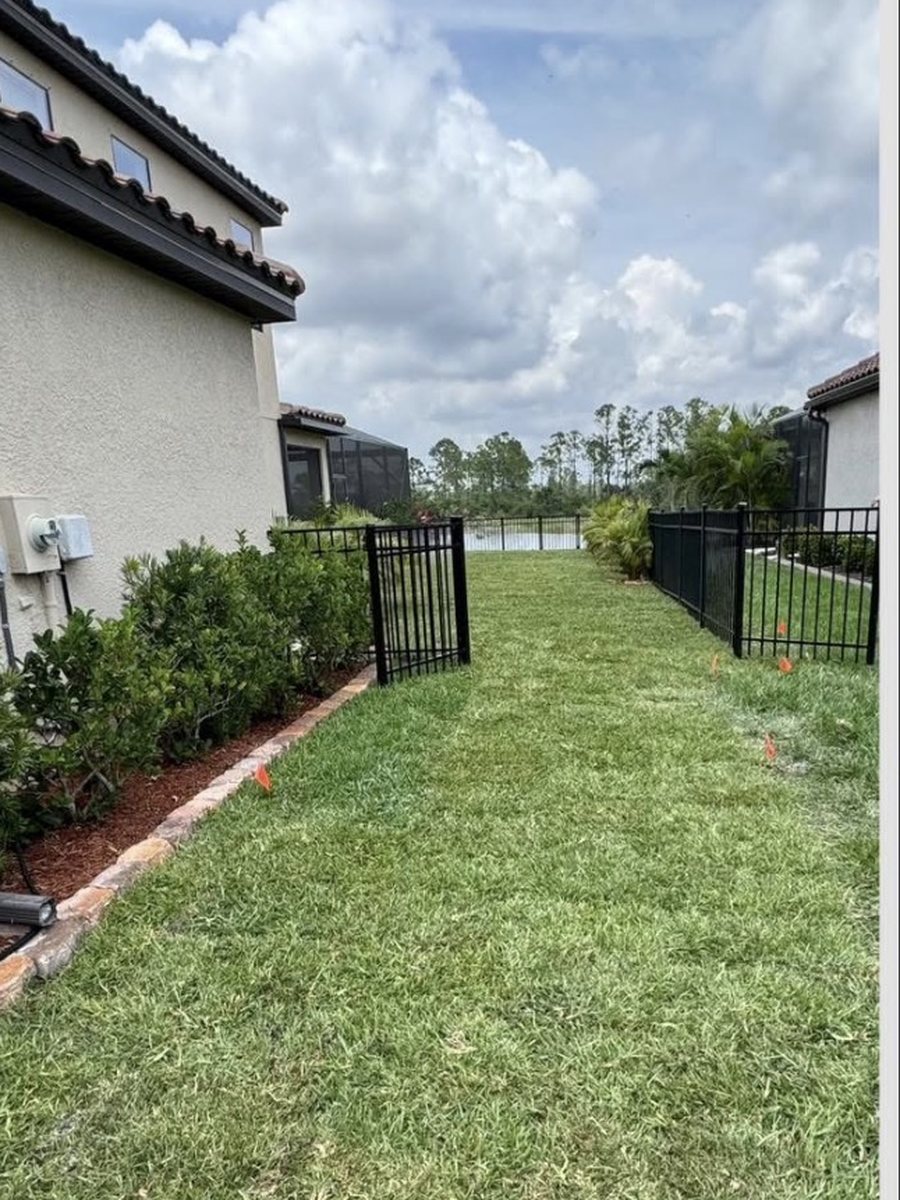 The same side yard with fresh sod laid and the beds mulched